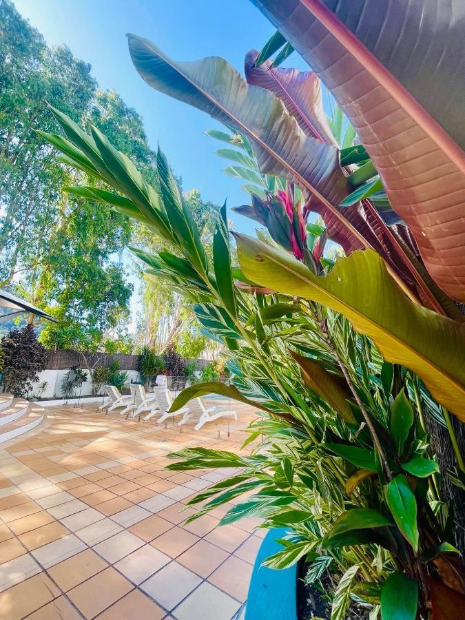 Beachview Apartments At Villa Paradiso Палм Коув Екстериор снимка